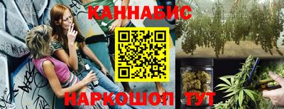 тгк Новодвинск