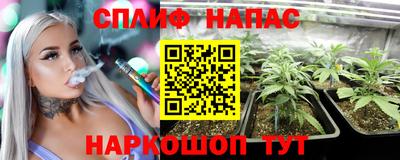 ПСИЛОЦИБИНОВЫЕ ГРИБЫ Новокубанск