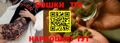 тгк Новодвинск