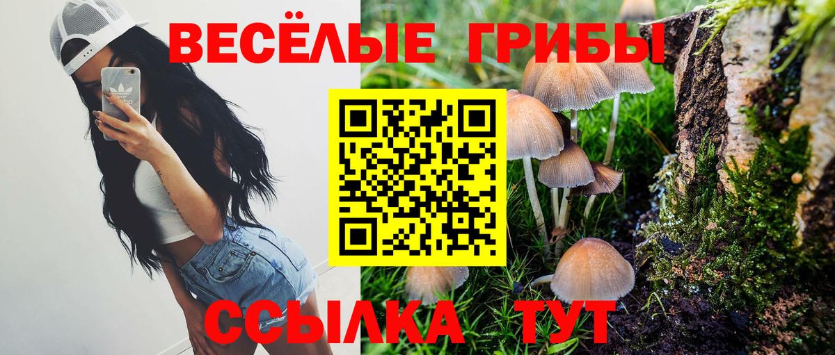 Псилоцибиновые грибы Psilocybe  Вход с VPN  как найти   Тавда 