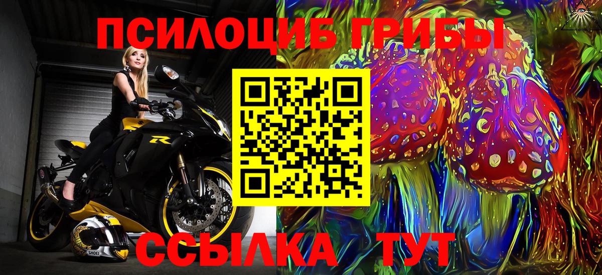Галлюциногенные грибы Cubensis Тавда